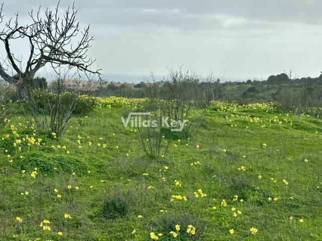 Terreno venda em Lagos, Faro