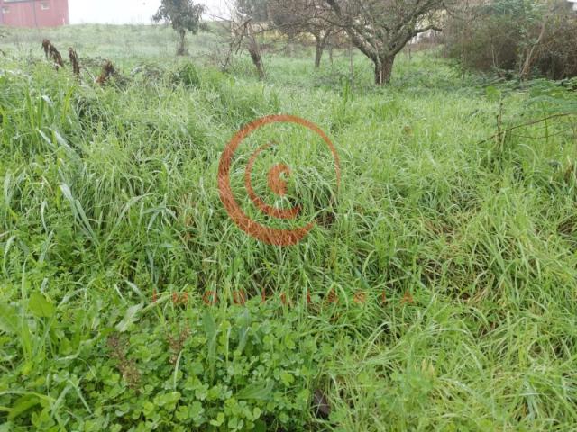 Terreno venda em Chaves, Vila Real