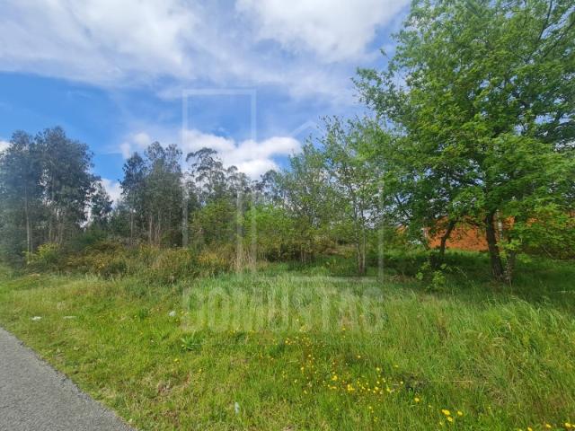 Terreno venda em Cavadas de Baixo, Águeda