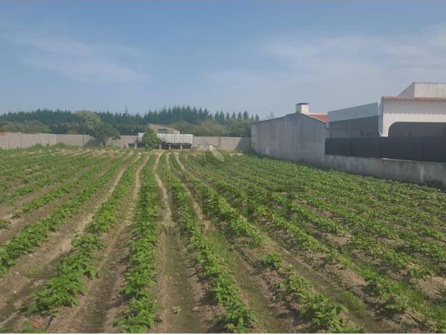 Terreno venda em Salvaterra De Magos, Santarém