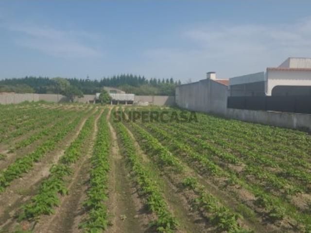 Terreno venda em Salvaterra De Magos, Santarém