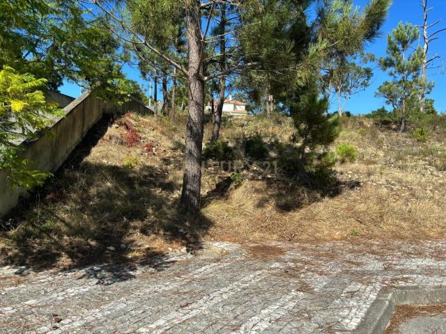 Terreno venda em Pombal, Leiria