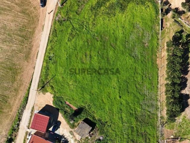 Terreno venda em Alcácer Do Sal, Setúbal