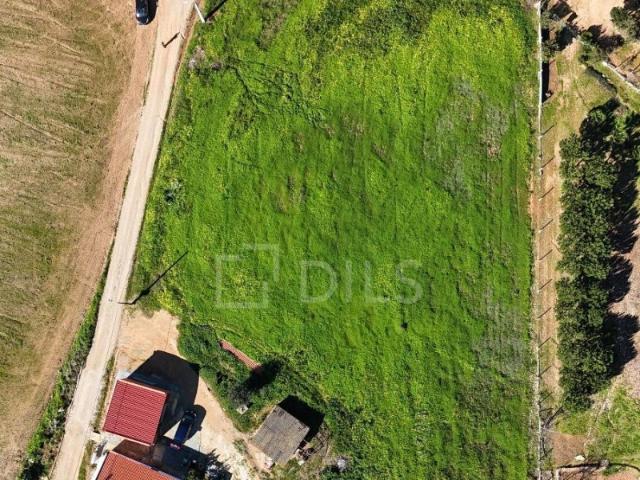 Terreno venda em Alcácer Do Sal, Setúbal