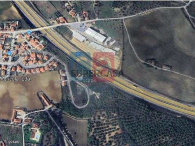 Terreno venda em Santarém