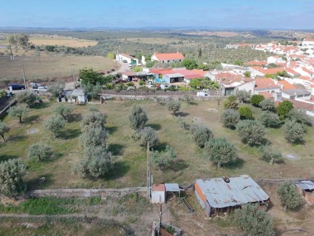 Terreno venda em Estremoz, Évora