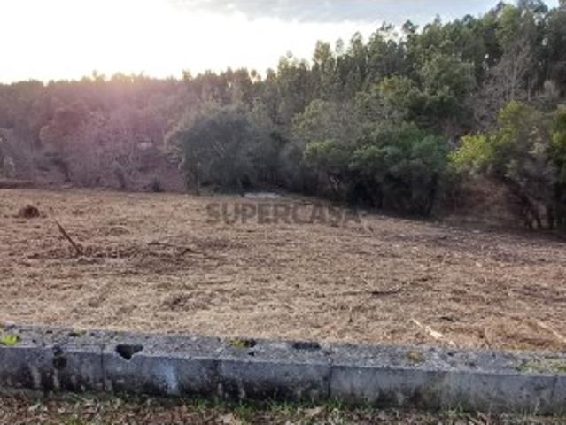 Terreno venda em Castelo Branco, Cumeada