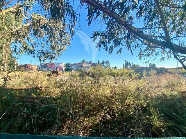 Terreno venda em Rio Maior, Santarém