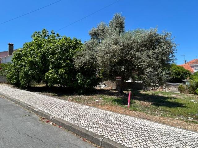 Terreno venda em Entroncamento, Nossa Senhora De Fátima