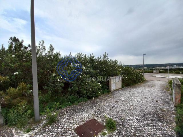 Terreno venda em Constância, Santarém