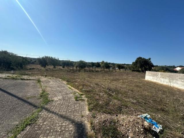 Terreno venda em Abrantes, Santarém
