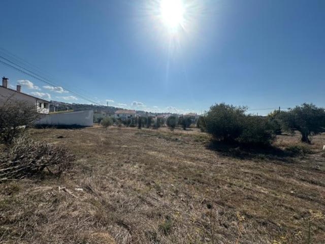 Terreno venda em Abrantes, Santarém