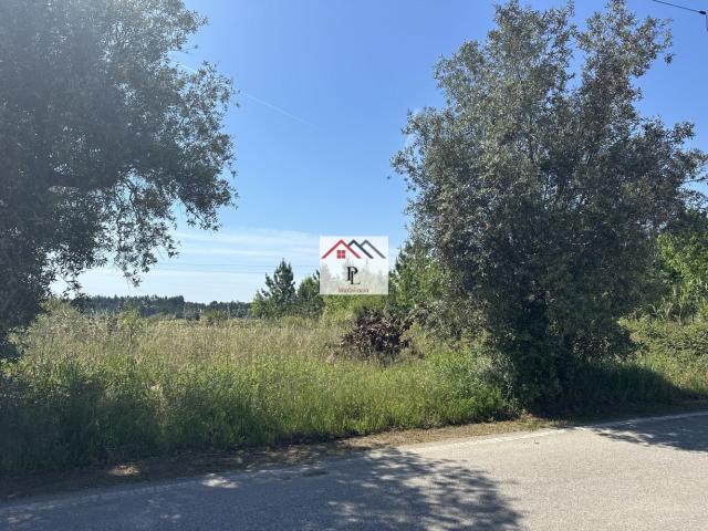 Terreno venda em Anadia, Aveiro
