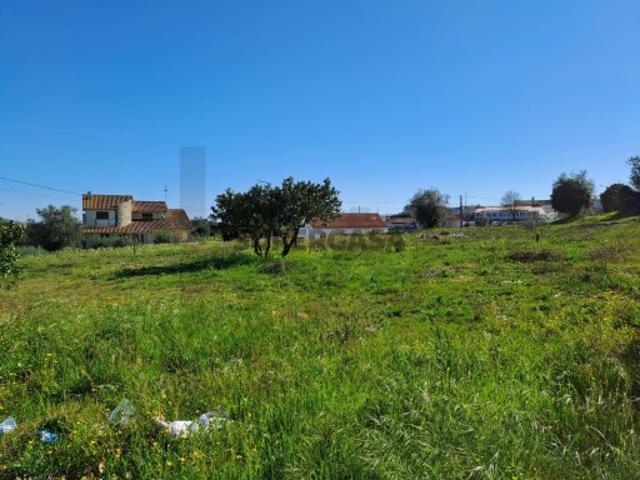 Terreno venda em Magueigia, Leiria