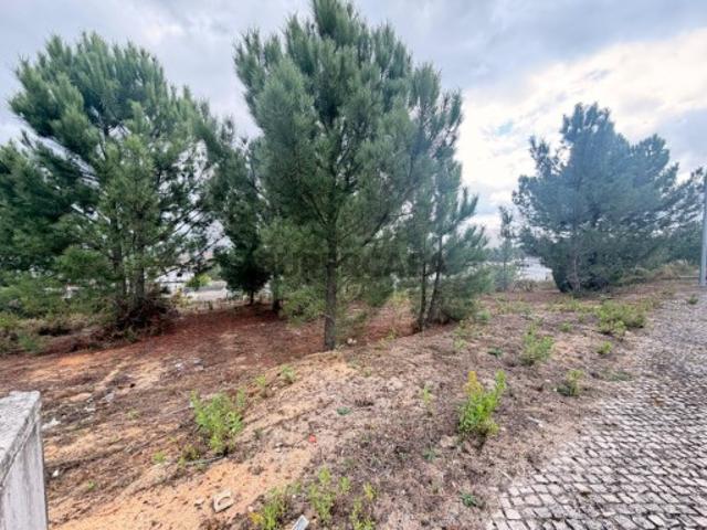 Terreno venda em Rio Maior, Santarém