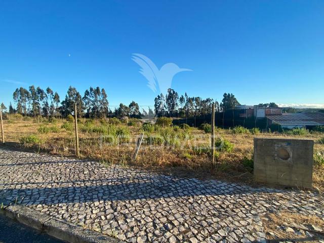 Terreno venda em Rio Maior, Santarém
