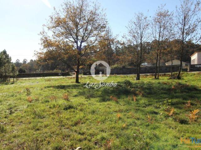 Terreno venda em Celorico De Basto, Braga