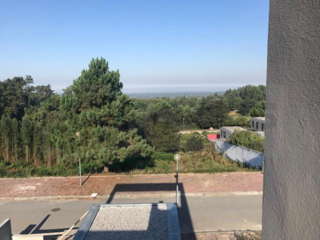Terreno venda em Oliveira De Azeméis, Aveiro