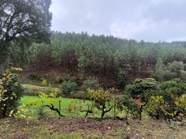 Terreno venda em Sardoal, Santarém