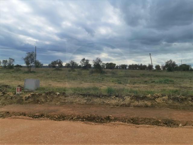 Terreno venda em Constância, Santarém
