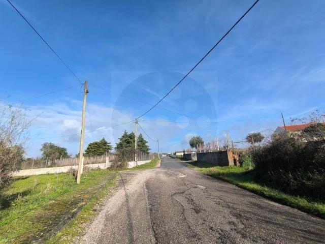 Terreno venda em Abrantes, Santarém