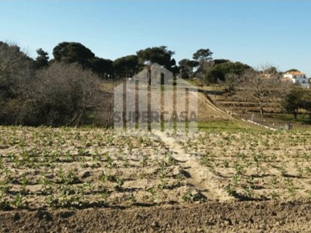 Terreno venda em Sesimbra, Setúbal