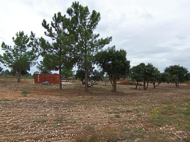 Terreno venda em Frade de Cima, Alpiarça
