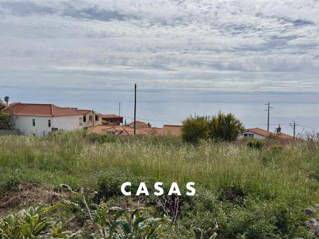 Loja venda em Ladeira e Lamaceiros, Arco Da Calheta