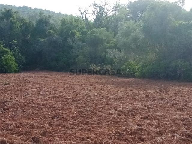 Terreno venda em Loulé, Faro