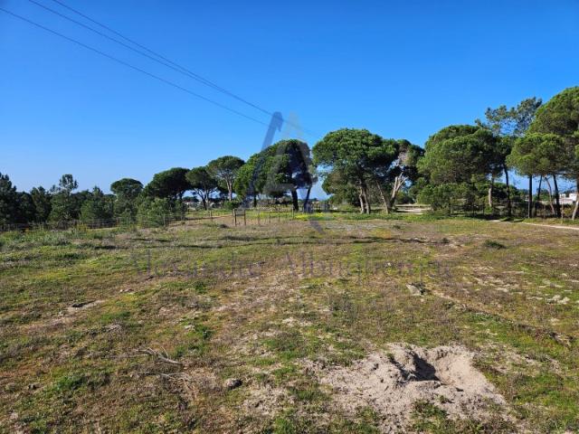 Terreno venda em Sesimbra (Castelo), Sesimbra