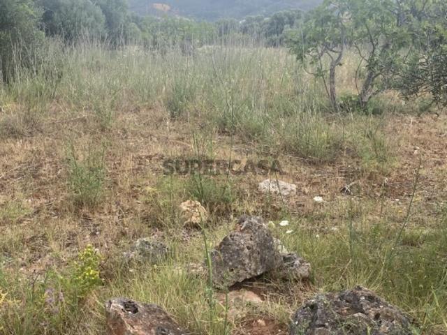 Terreno venda em Loulé, Faro