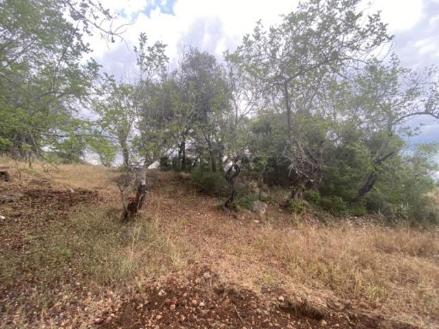 Terreno venda em Loulé, Faro