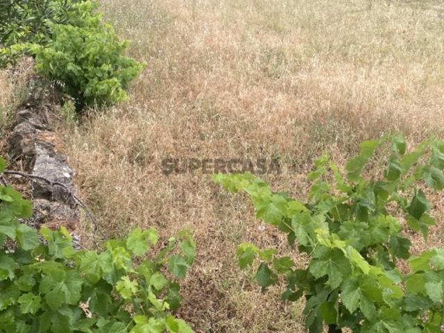 Terreno venda em Loulé, Faro