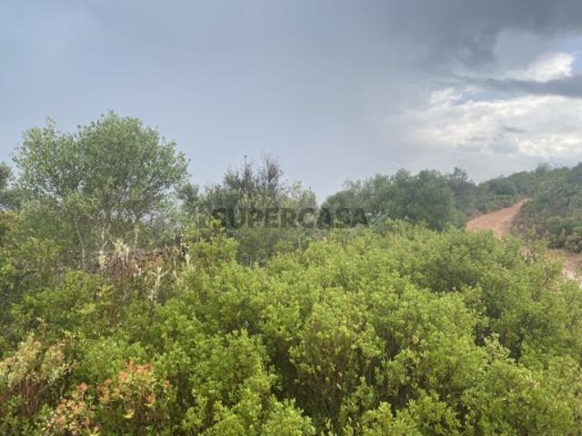 Terreno venda em Loulé, Faro