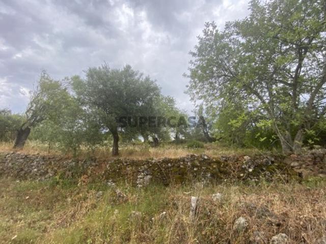 Terreno venda em Loulé, Faro