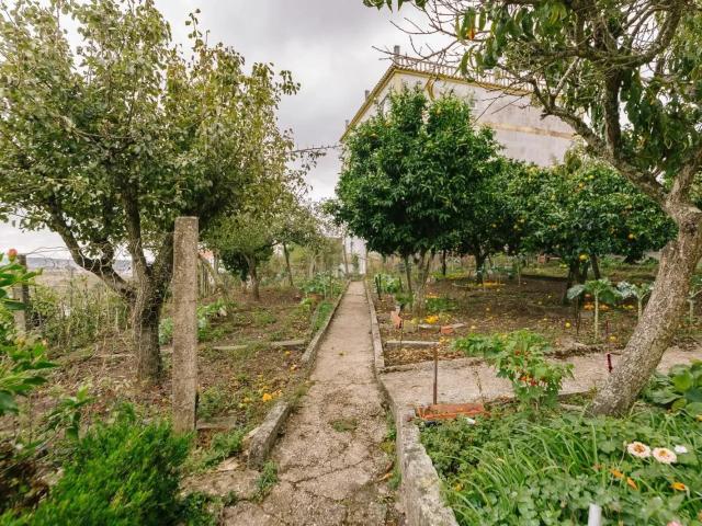 Terreno venda em Pintéus, Santiago Dos Velhos
