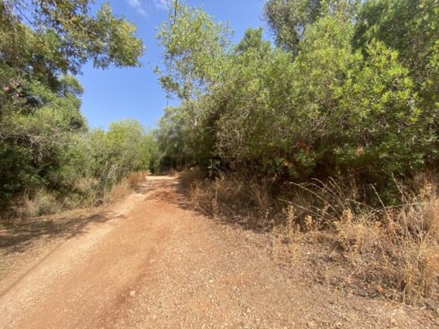 Terreno venda em Loulé, Faro