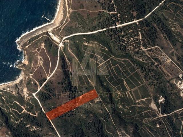 Terreno venda em Sesimbra (Castelo), Sesimbra