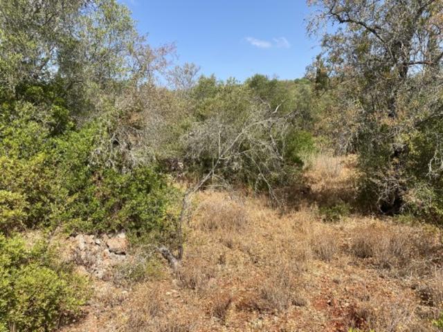 Terreno venda em Loulé, Faro