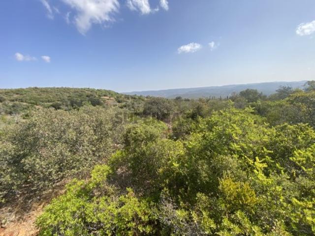 Terreno venda em Loulé, Faro