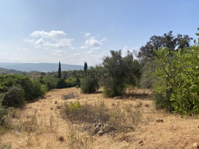 Terreno venda em Benafim, Faro