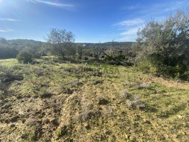 Terreno venda em Loulé, Faro