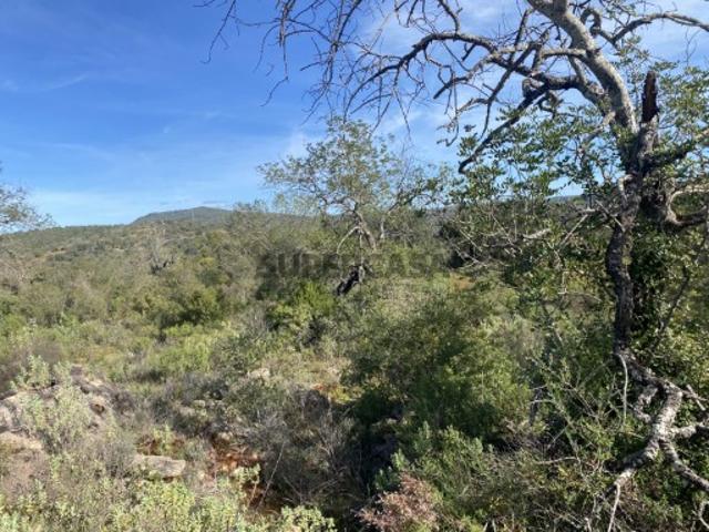 Terreno venda em Estrela Montes, Loulé