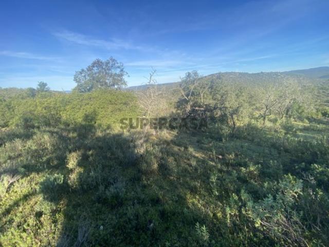 Terreno venda em Loulé, Faro