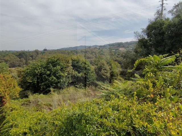 Terreno venda em Braga
