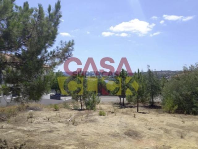 Terreno venda em Constância, Santarém