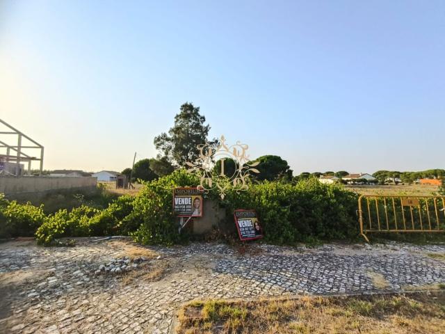 Terreno venda em Taipadas, Montijo