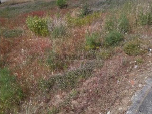Terreno venda em Viana Do Castelo