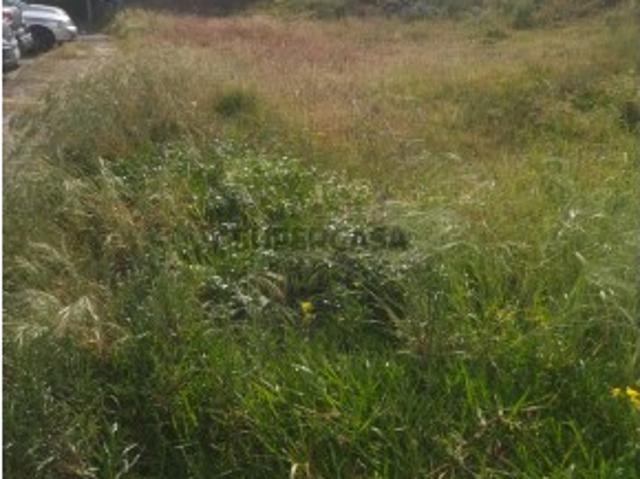 Terreno venda em Viana Do Castelo