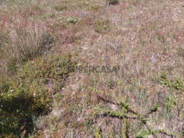 Terreno venda em Viana Do Castelo